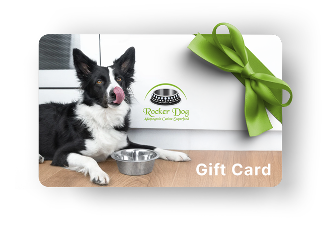 Rocker Dog digital gift card featuring a happy black and white dog licking its lips beside a food bowl, with a green ribbon and brand logo.