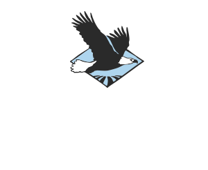 Logo of Azure Standard Company with a flying eagle on a transparent background.
