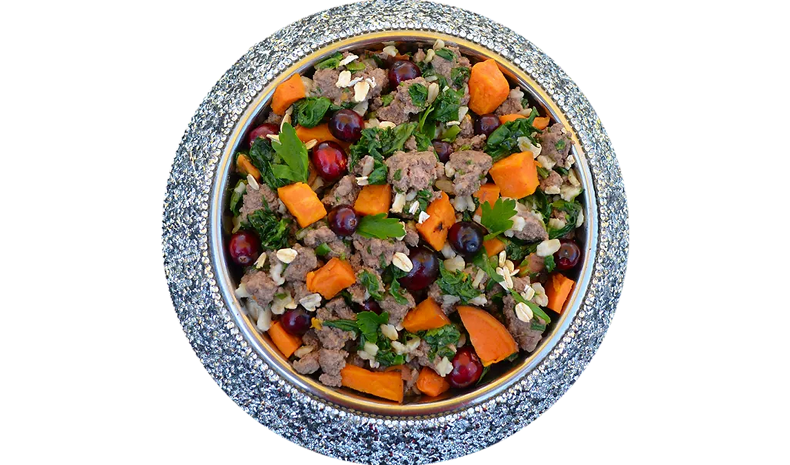 Bowl of Rocker Dog's fresh beef dog food featuring grass-fed beef, organic sweet potatoes, organic spinach, organic cranberries, and more.