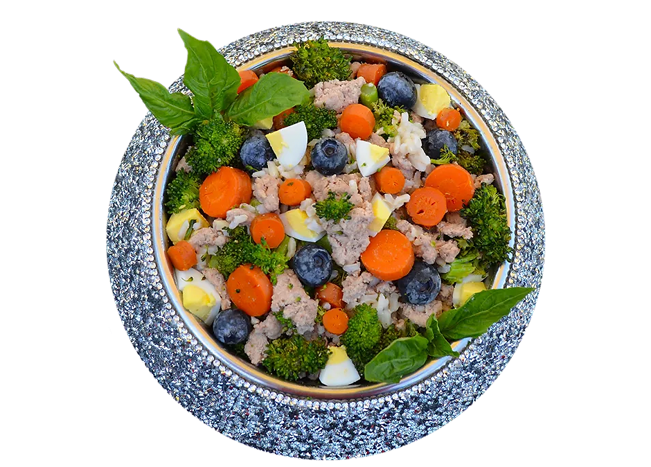 Bowl of Rocker Dog’s homemade fresh dog food with traceable ingredients like carrots, blueberries, broccoli, eggs, and ground turkey