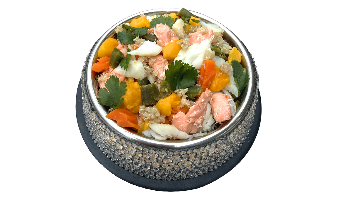 Bowl of Rocker Dog's fresh Fish dog food featuring pollock and wild caught salmon, organic carrots, organic green beans, and more.