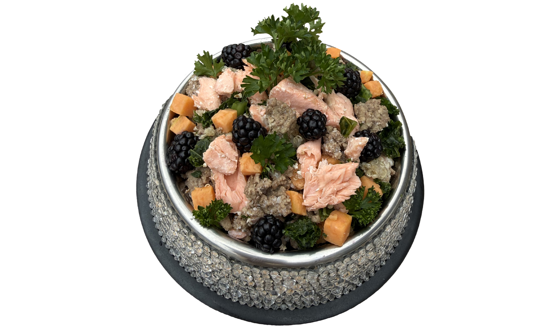 Bowl of Rocker Dog's fresh surf & turf dog food featuring grass-fed beef, wild caught salmon, organic sweet potatoes, organic parsley, organic blackberries, and more.