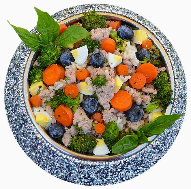 Bowl of Rocker Dog’s homemade fresh dog food with traceable ingredients like carrots, blueberries, broccoli, eggs, and ground turkey