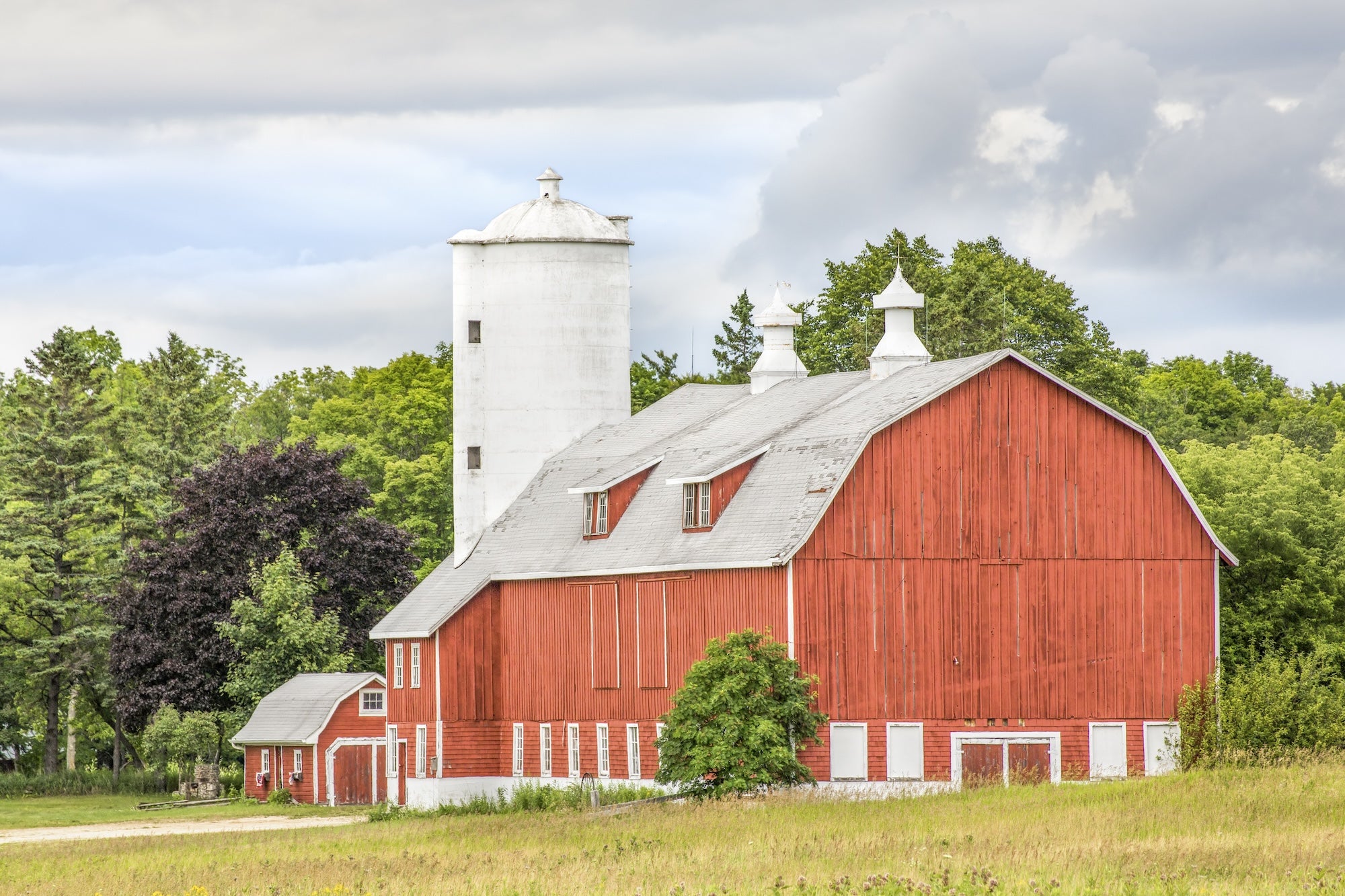 Rustic red barn on a family farm, representing Rocker Dog’s partnership with trusted, ethically-sourced ingredient suppliers