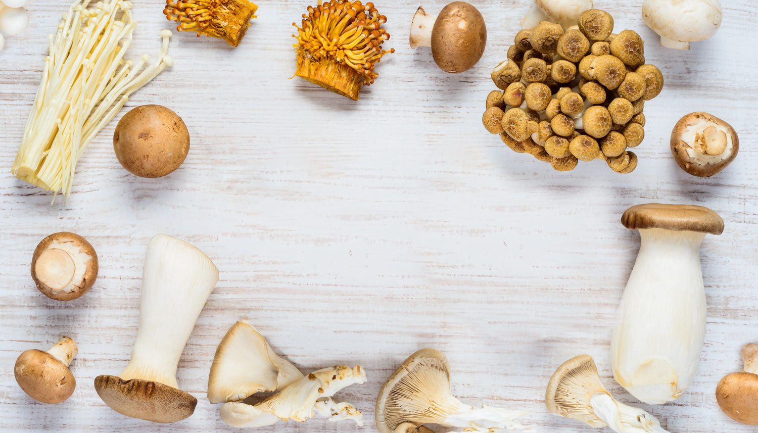 Variety of edible mushrooms on a light wood background