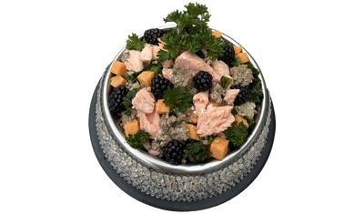 Bowl of Rocker Dog's fresh surf & turf dog food featuring grass-fed beef, wild caught salmon, organic sweet potatoes, organic parsley, organic blackberries, and more.
